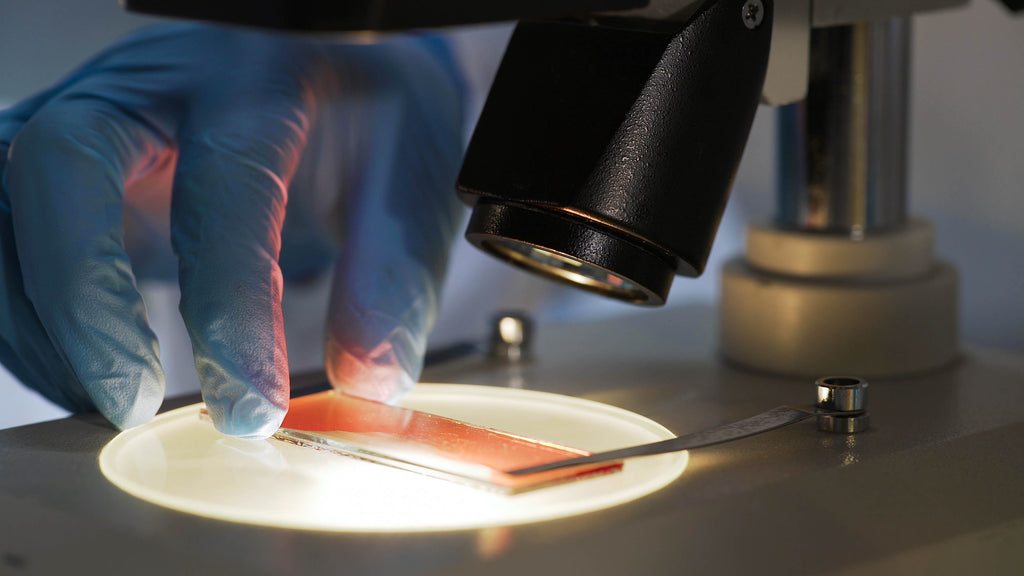 Israeli Professor Creates 5-Mer Peptide That Can Potentially Cure Arthritis, Multiple Sclerosis, Alzheimer’s, and Crohn’s Disease