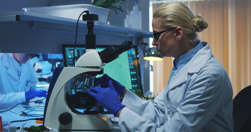Technion Enables Energy Harvesting from Bacteria