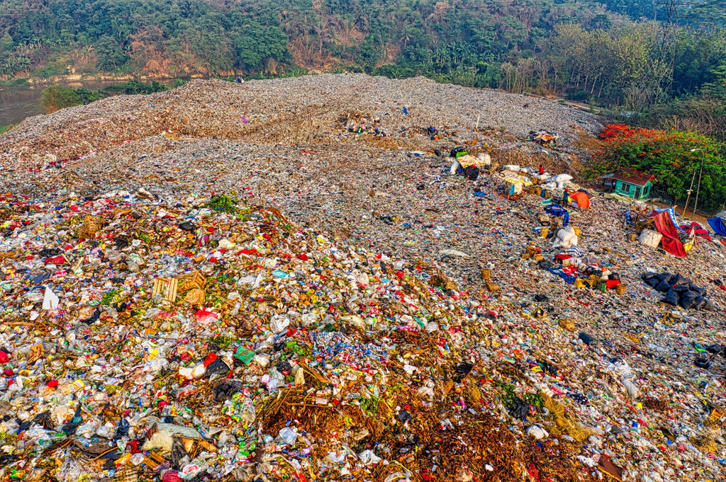 Israeli Researchers at Tel Aviv University May Have Found a Solution to One of the World’s Worst  Pollutants—Plastic