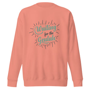 Open image in slideshow, Waiting for Geulah Sweatshirt
